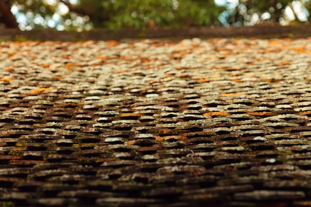 Roof Leak Repair in Delaware, OH