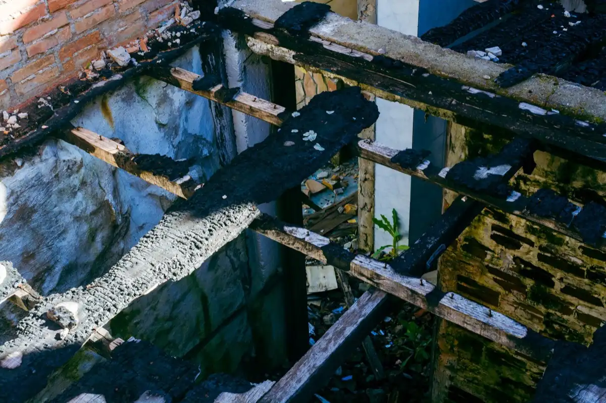 Rotted sheathing and rafters exposed under a long-running roof leak in Delaware, OH